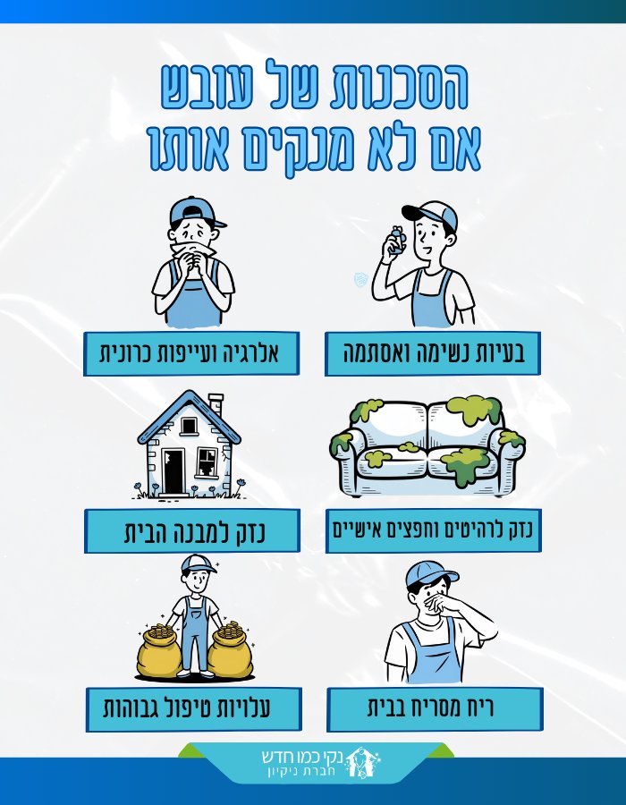 סכנות של עובש