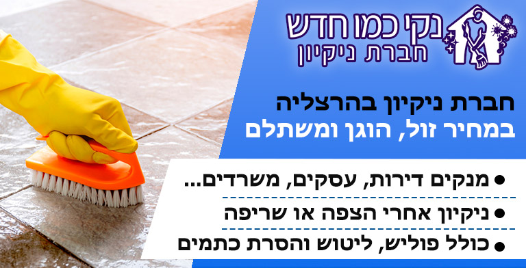 חברת ניקיון בהרצליה